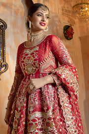 Dulhan Dress in Designer Attire 