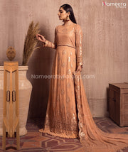 Wedding Party Dress Pakistani 