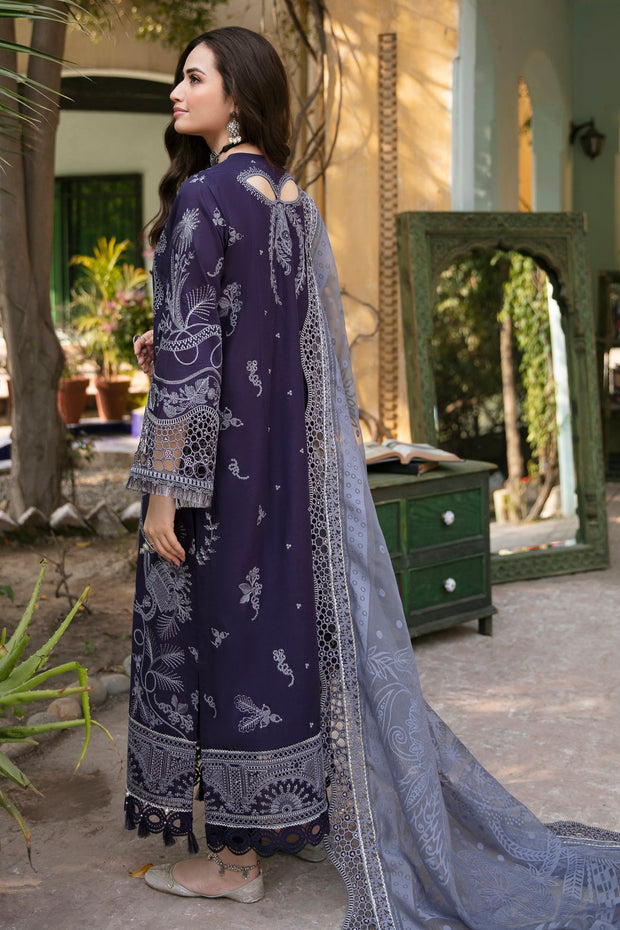 Elegant Embroidered Pakistani Eid Dress in Kameez Trouser Style