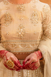 Elegant Embroidered Pakistani Lehenga Blouse and Dupatta Dress
