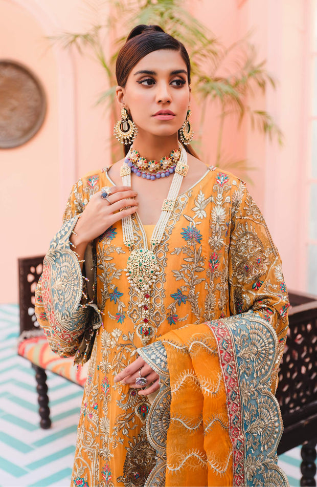 Elegant Fancy Kameez Salwar in Orange Shade 2022