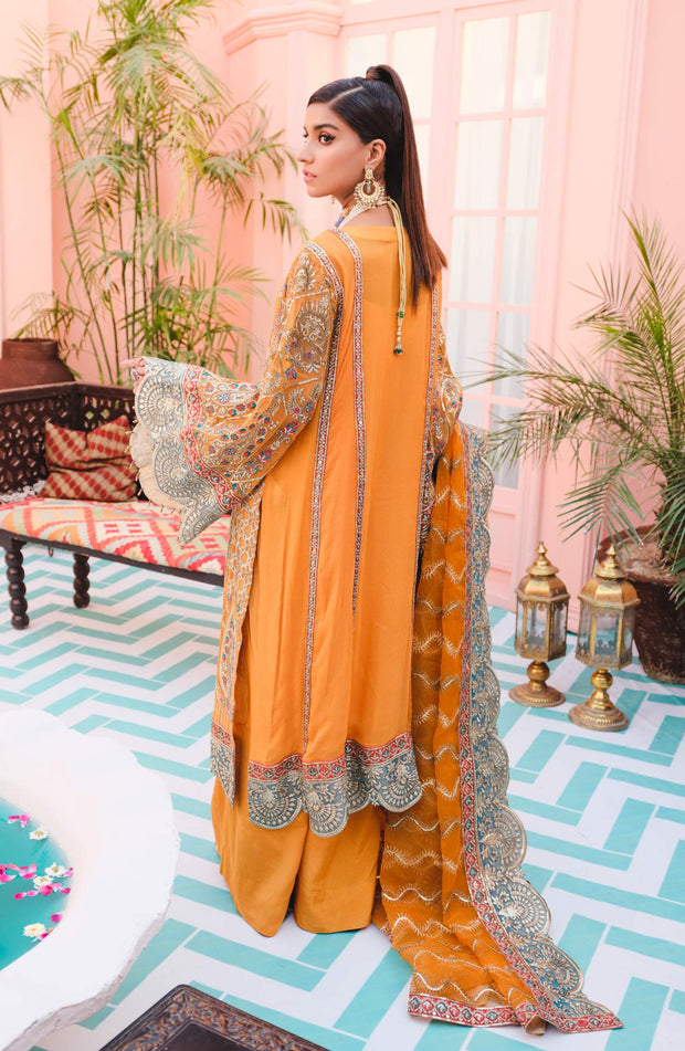 Elegant Fancy Kameez Salwar in Orange Shade Online