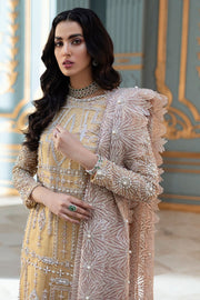 Elegant Fancy Salwar Kameez in Sun Yellow Shade Designer