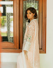 Elegant Kameez Trouser Embroidered Pakistani Eid Dress Online