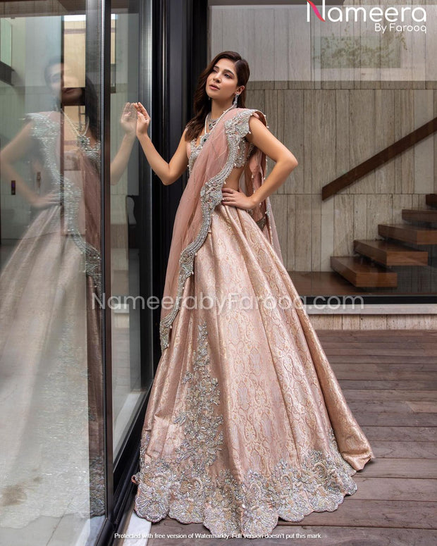 Elegant Lehenga Choli Bridal Clothes Pakistani 