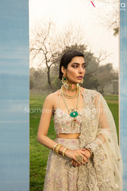 Elegant Lehenga Choli