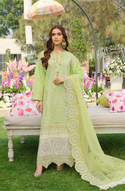 Elegant Light Green Salwar Kameez Pakistani Eid Dress