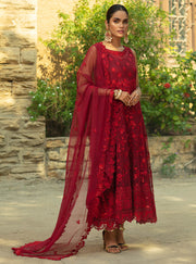 Elegant Long Dress Pakistani In Maroon Shade 2022