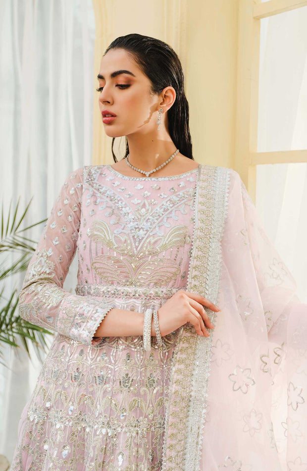 Elegant Long Frock Pakistani in Soft Pink Shade Online