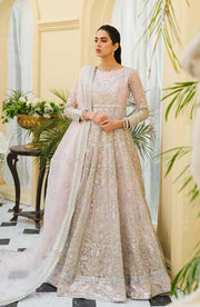 Elegant Long Frock Pakistani in Soft Pink Shade
