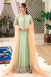 Elegant Mint Green Pakistani Dress for Wedding