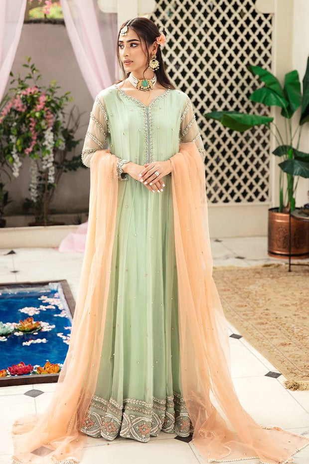 Elegant Mint Green Pakistani Dress for Wedding in Organza Net MEDIUM Elegant Mint Green Pakistani Dress for Wedding in Organza Net MEDIUM