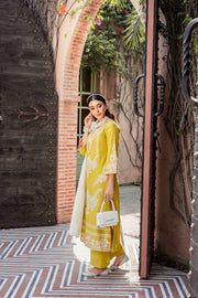 Elegant Mustard Embroidered Kameez Trouser Pakistani Eid Dress