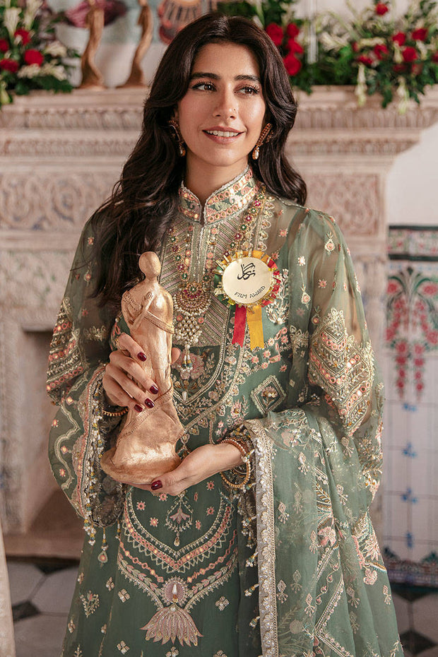 Elegant Organza Dress Pakistani in Kameez Trouser Dupatta Style