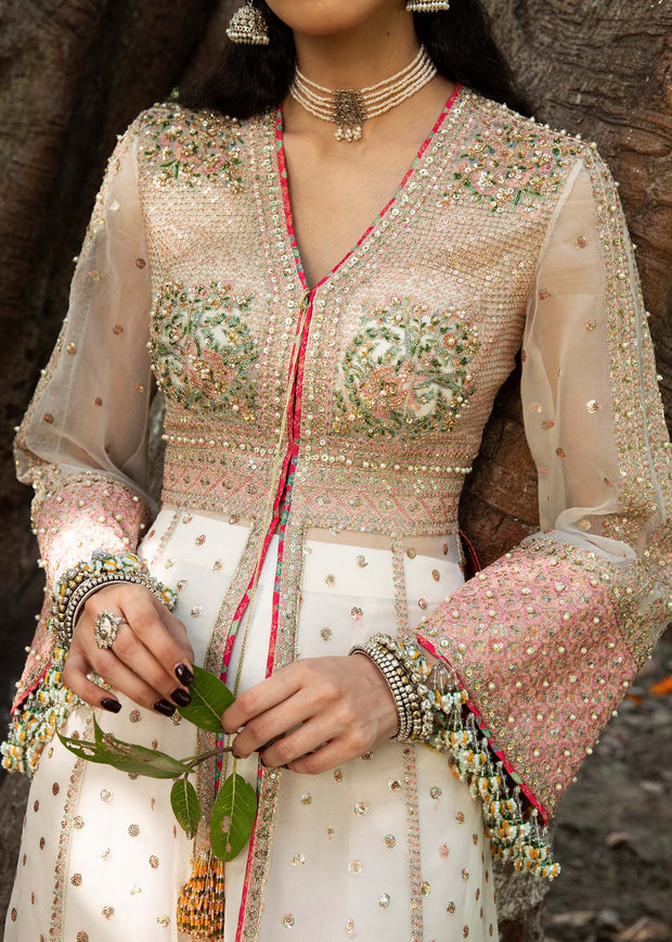 Elegant Organza Dress Pakistani in Pishwas and Sharara Style