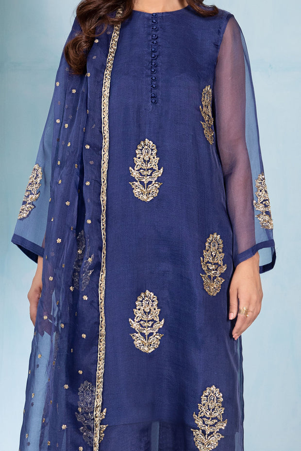 Elegant Pakistani Blue Dress in Kameez Trouser Dupatta Style