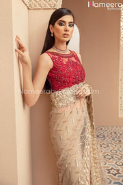 Elegant Pakistani Dress