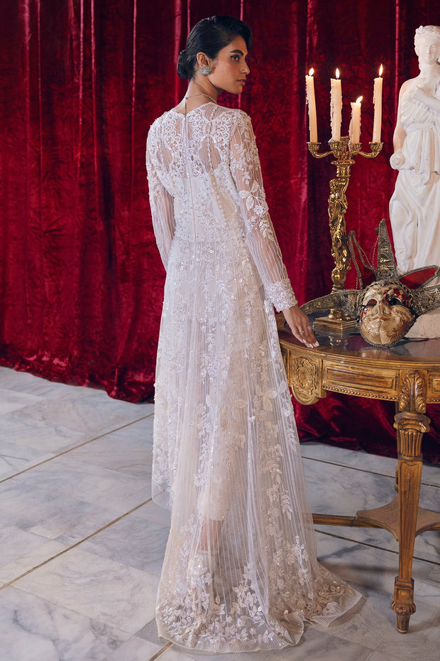 Elegant Pakistani Dress