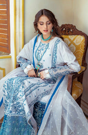 Elegant Pakistani Embroidered Suit in Kameez Trouser Style