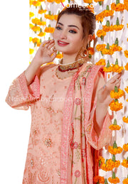 Elegant Pakistani Fancy Dress