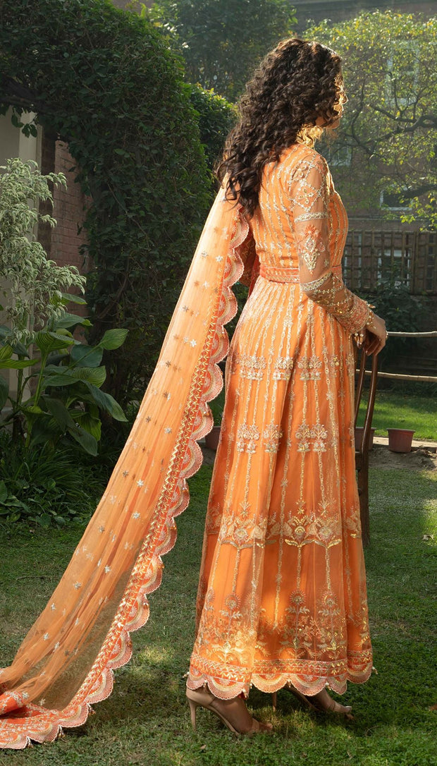 Elegant Pakistani Frock Dress in Orange Shade Online