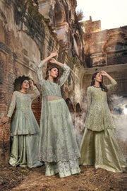 Elegant Pakistani Gown and Wedding Lehenga Dress in Net