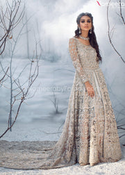 Elegant Pakistani Long Tail Maxi for Walima 2021 Overall Look