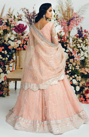 Elegant Pakistani Pink Dress in Organza Gown Style for Bride