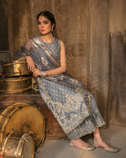 Elegant Pakistani Raw Silk Salwar Kameez Dress Online
