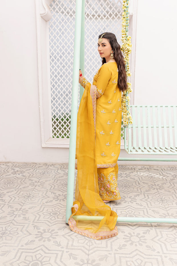Elegant Pakistani Raw Silk Salwar Kameez Dress