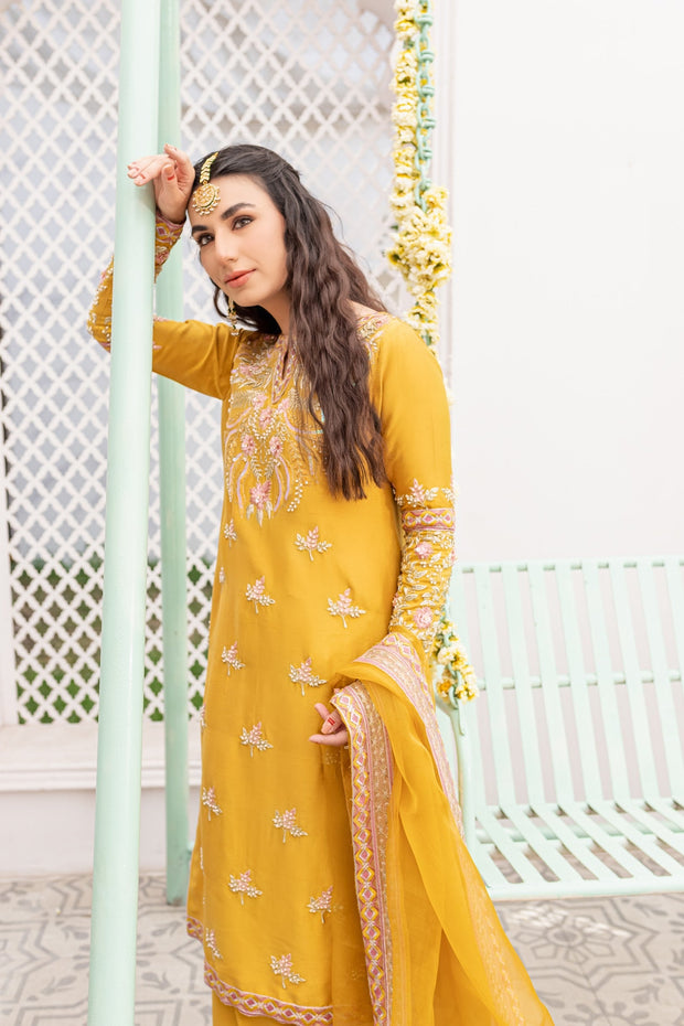 Elegant Pakistani Raw Silk Salwar Kameez Dupatta Dress Online