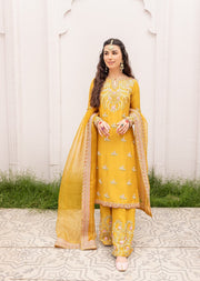 Elegant Pakistani Raw Silk Salwar Kameez Dupatta Dress