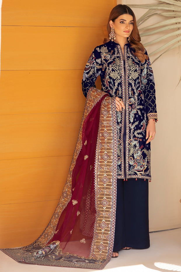 Elegant Pakistani Velvet Dress in Blue Shade