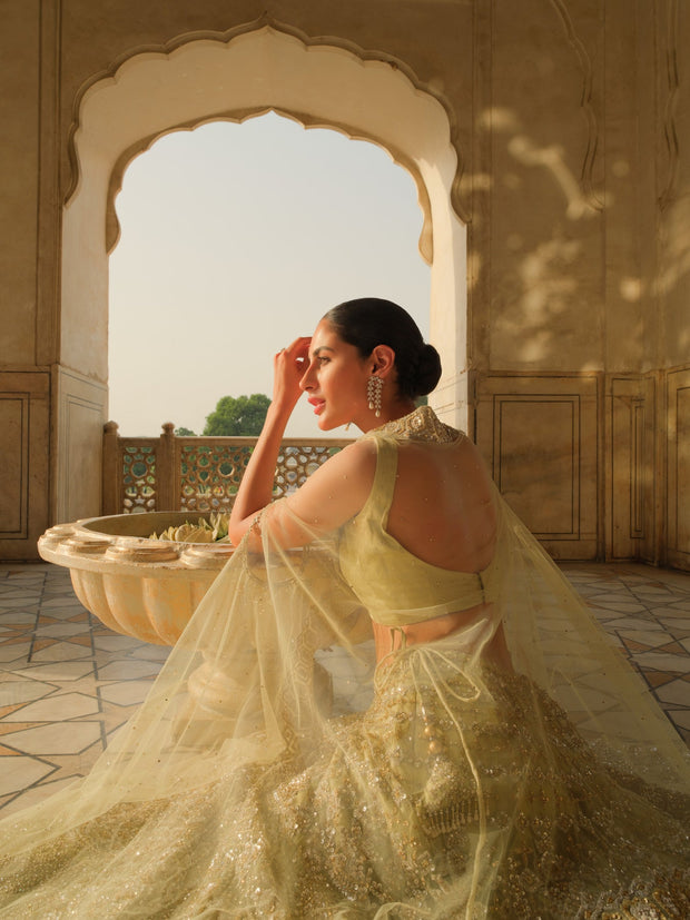 Elegant Pakistani Wedding Lehenga Choli and Dupatta Dress