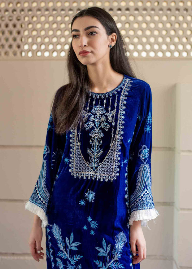 Elegant Party Wear Salwar Kameez in Micro Velvet Designer