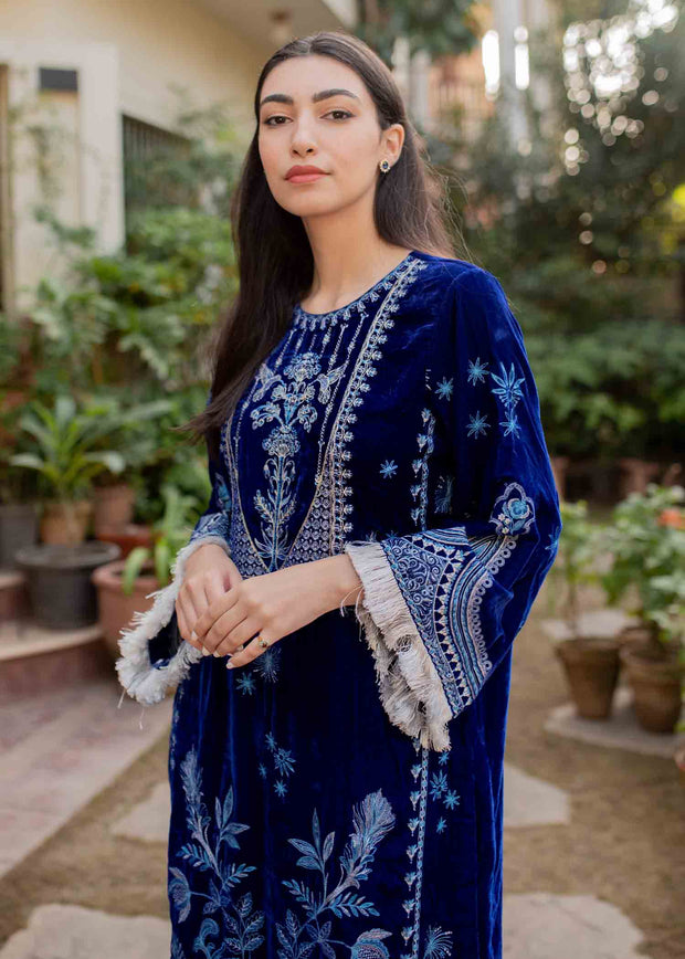 Elegant Party Wear Salwar Kameez in Micro Velvet Online