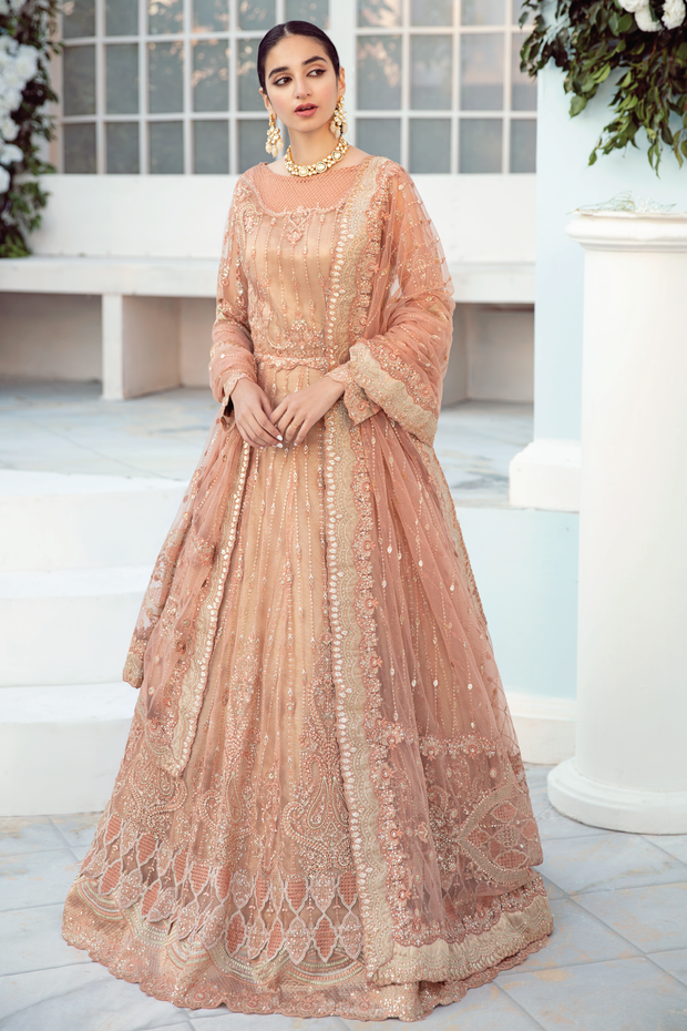 Peach Saree in Net with Elegant Embroidery Work