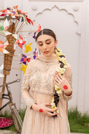 Elegant Pishwas Dress in Premium Net with Dupatta and Pants