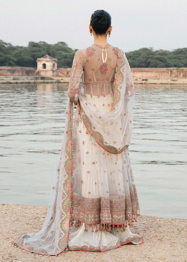 Elegant Pishwas Frock with Sharara and Dupatta in Net Fabric