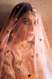 Elegant Pishwas and Dupatta Pakistani Wedding Dress