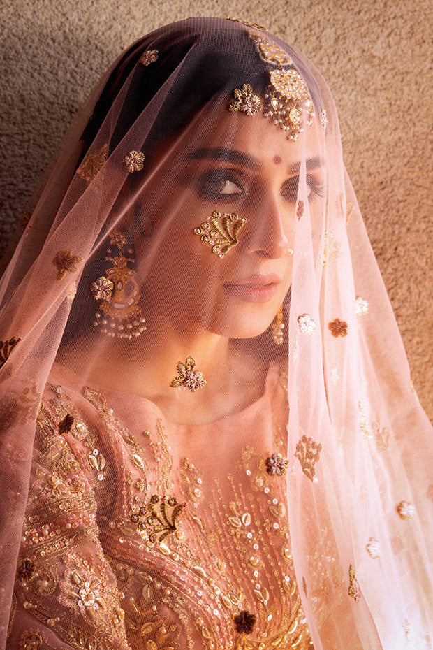 Elegant Pishwas and Dupatta Pakistani Wedding Dress