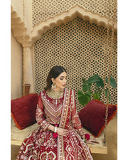 Elegant Red Lehenga Choli and Dupatta Pakistani Wedding Dress