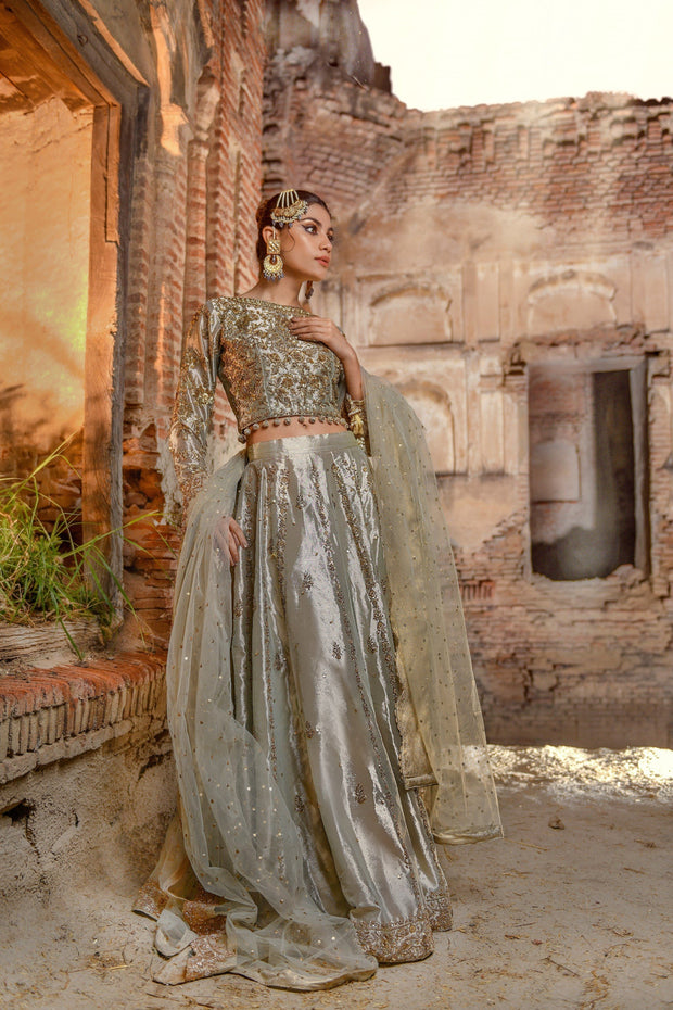 Elegant Tissue Lehenga Choli Pakistani Bridal Dress