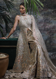Elegant Pakistani Bridal Cut Lehnga for Wedding Cut lehnga