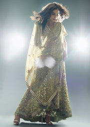 Elegant Pakistani Bridal Dress for Asian Wedding Overall Look