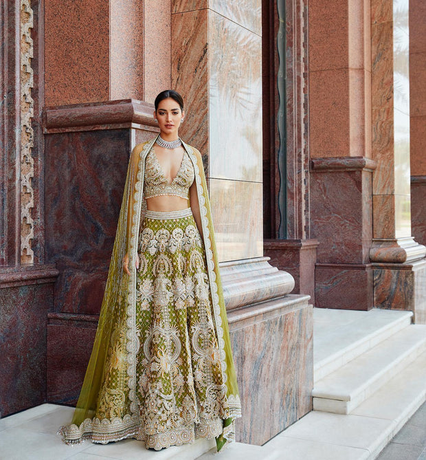 Embellished Bridal Lehenga Choli Designer Dress 