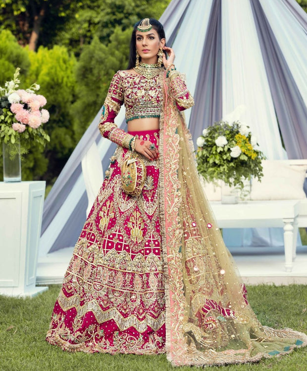 Embellished Bridal Lehenga Choli and Dupatta Dress