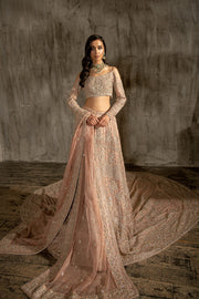 Embellished Designer Choli Lehenga Bridal Dress