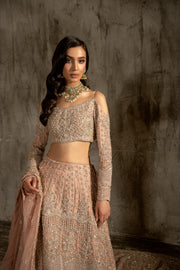Embellished Designer Choli Lehenga Bridal Dresses