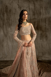 Embellished Designer Choli Lehenga